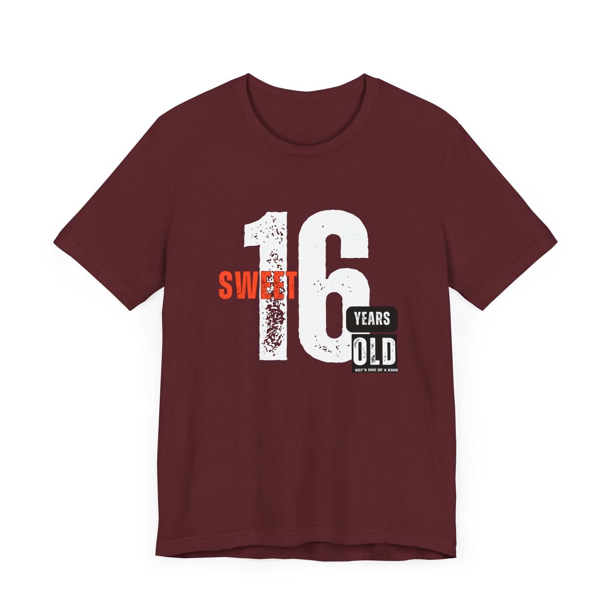 16year Old Unisex Adult Tee